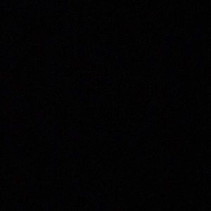 Meet your Posher, Wayne